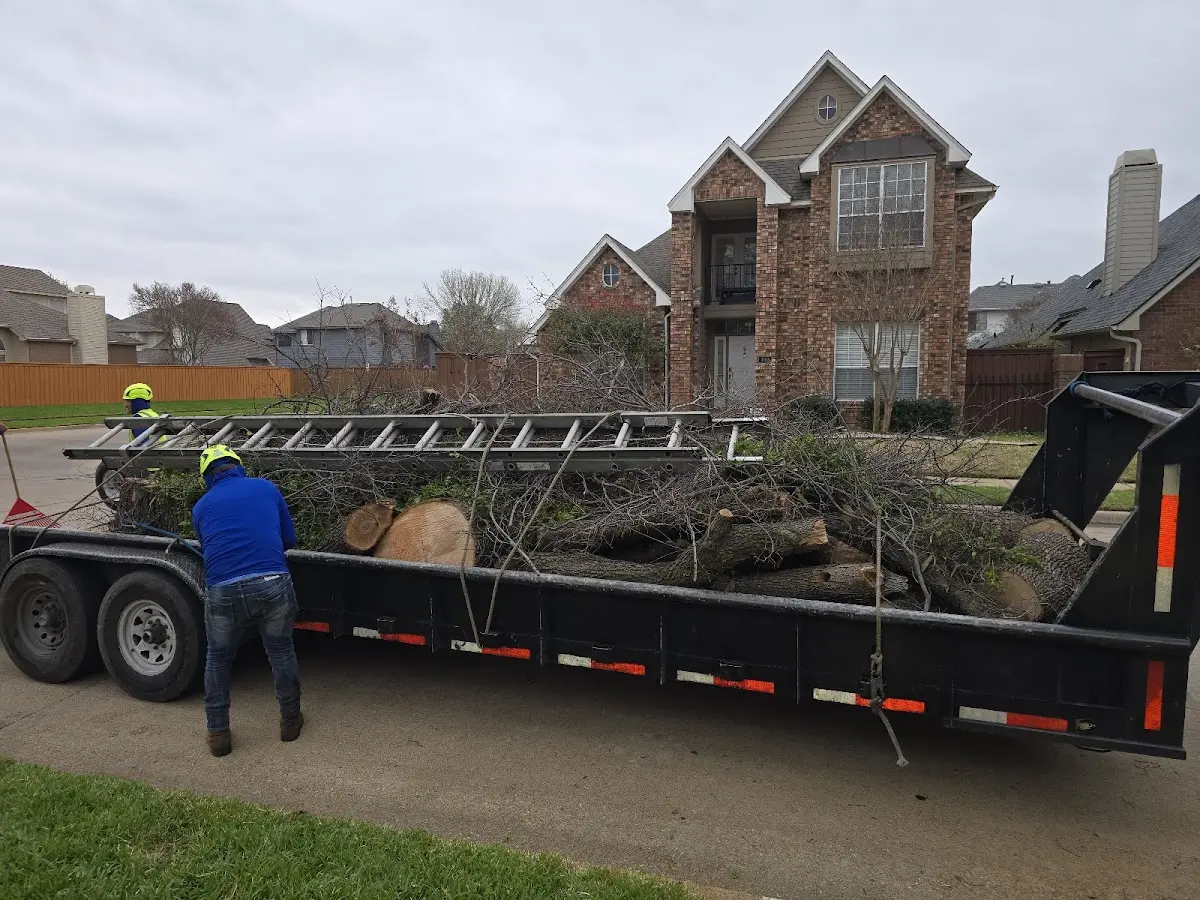 Expert Tree Pest Control with proper safety equipment in Gooding